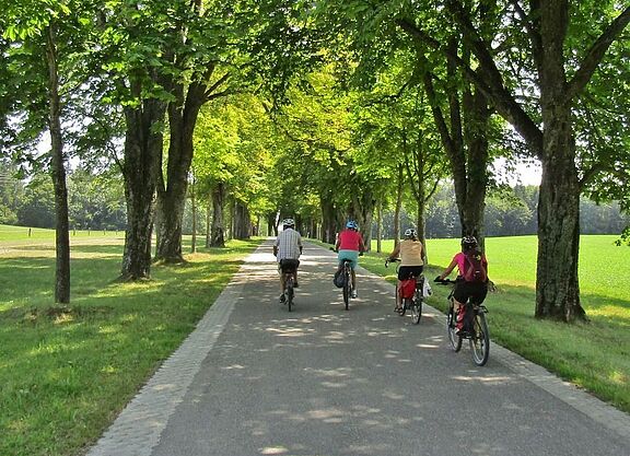 Radfahrer auf Radweg im Grünen